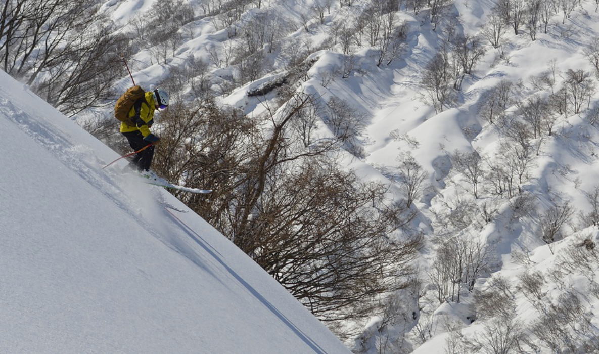 新田山BCスキー