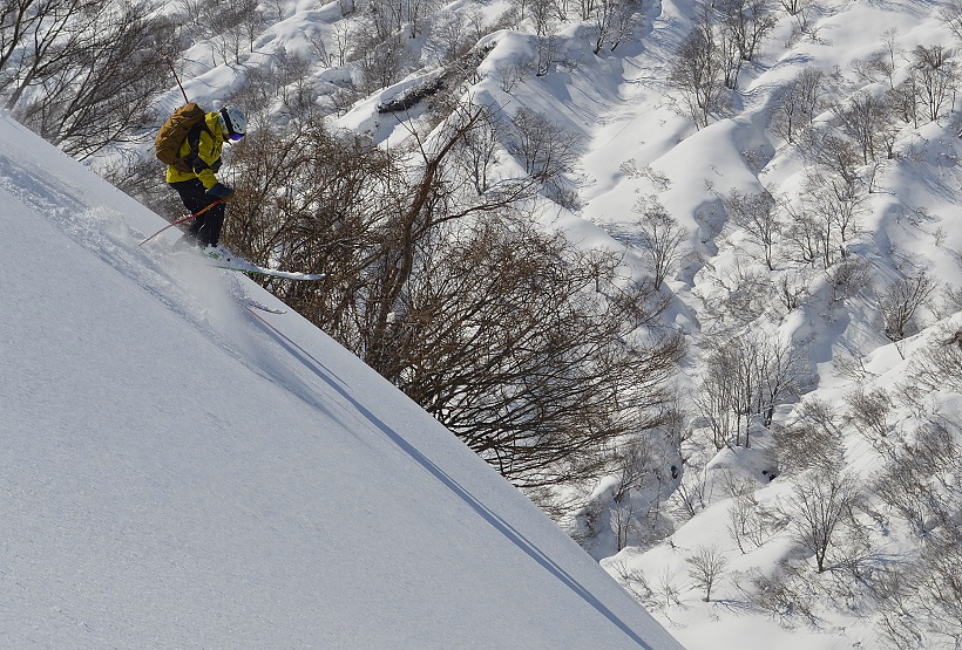 新田山2023年4月12日更新