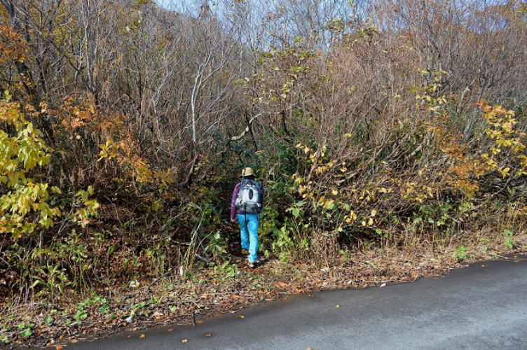 登山口