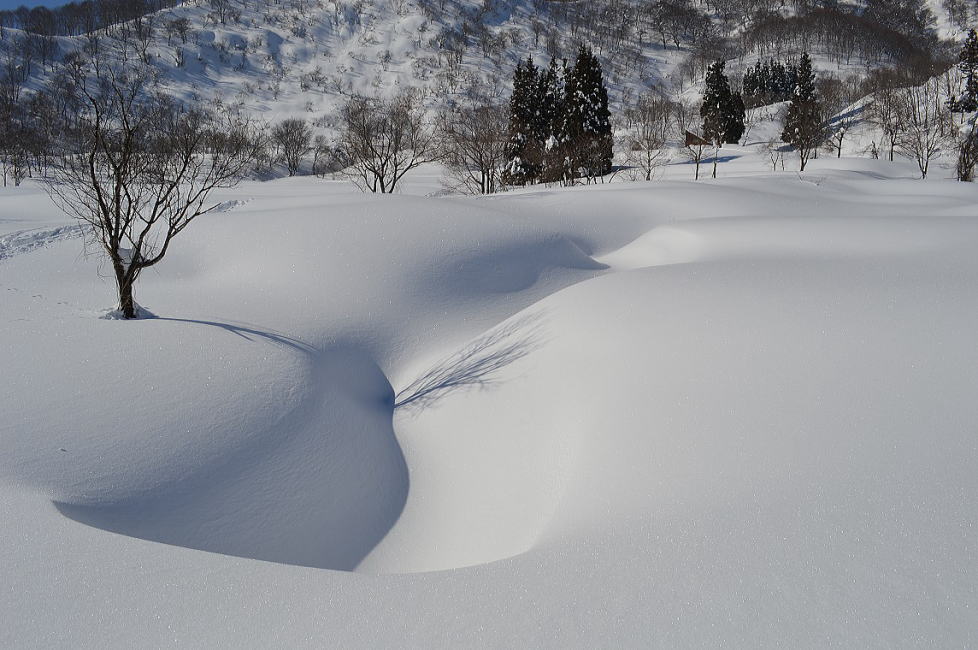 小口研治　田村まゆみの気まぐれ山日記　雪の陰影