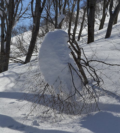 雪の造形