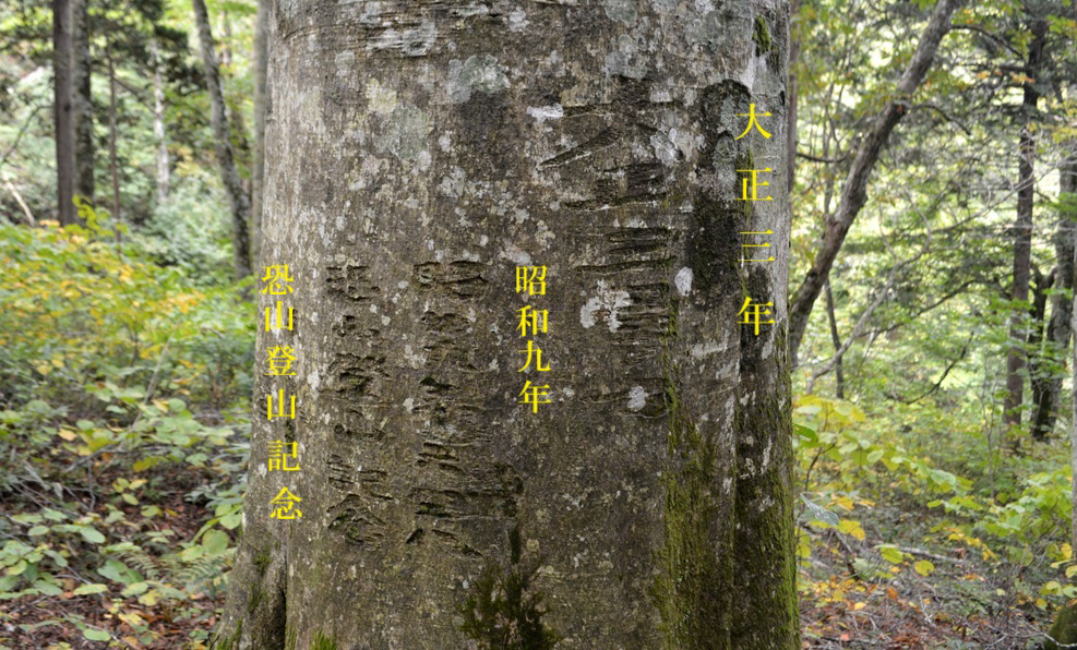 表皮に彫られた文字