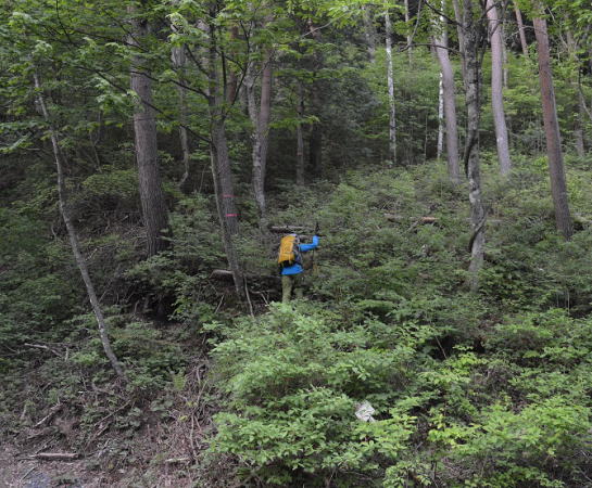 水沢山登山口