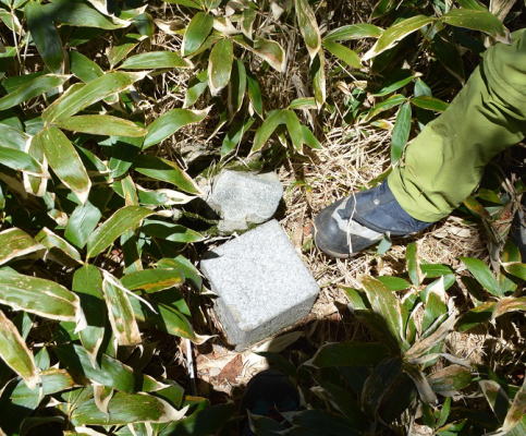 大棚入山三角点