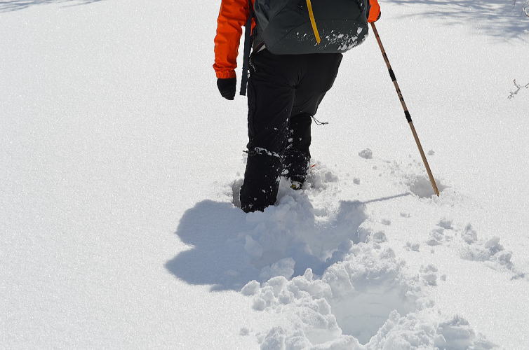 春の新雪