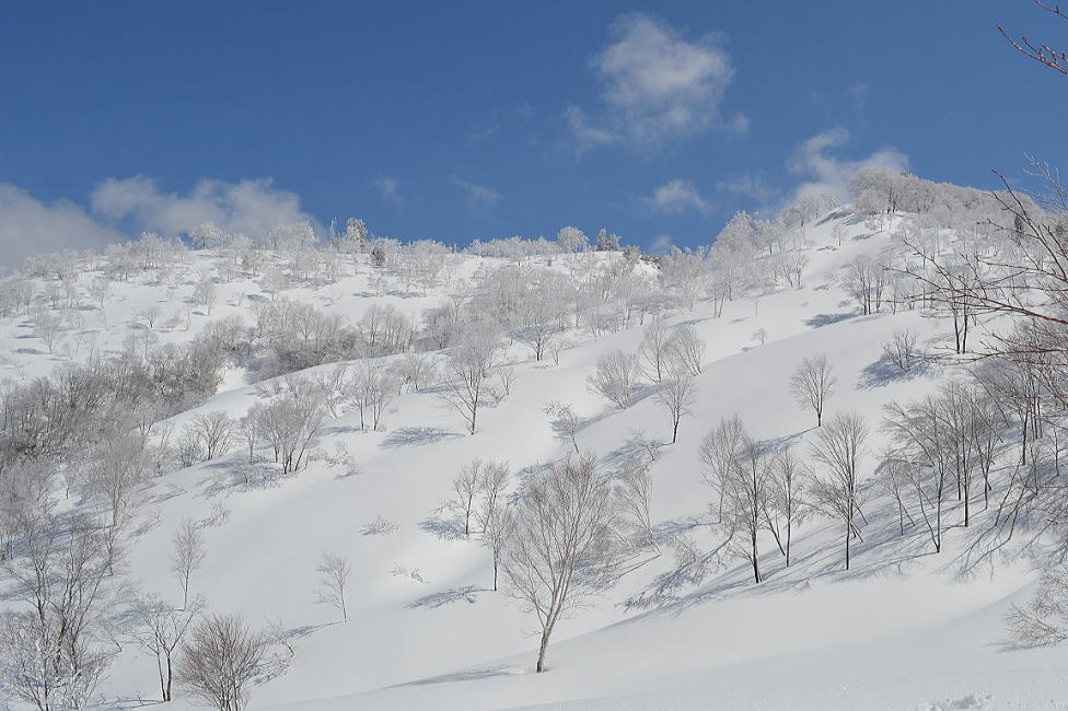 新雪斜面