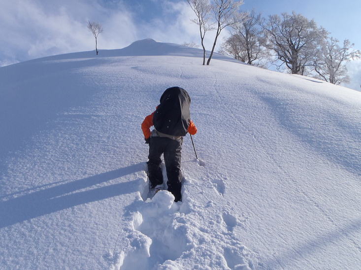 新雪深すぎ