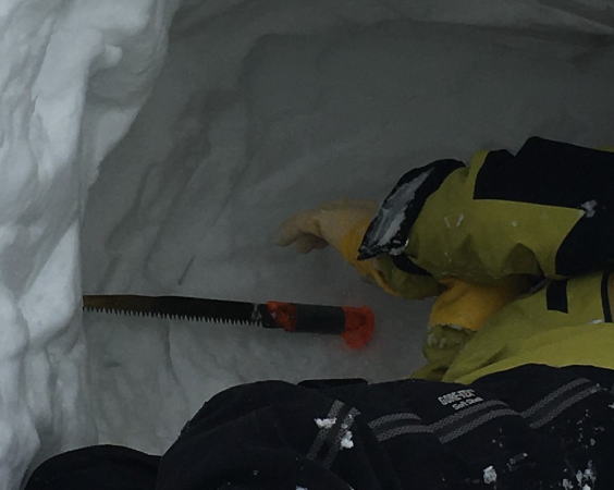 雪洞掘り