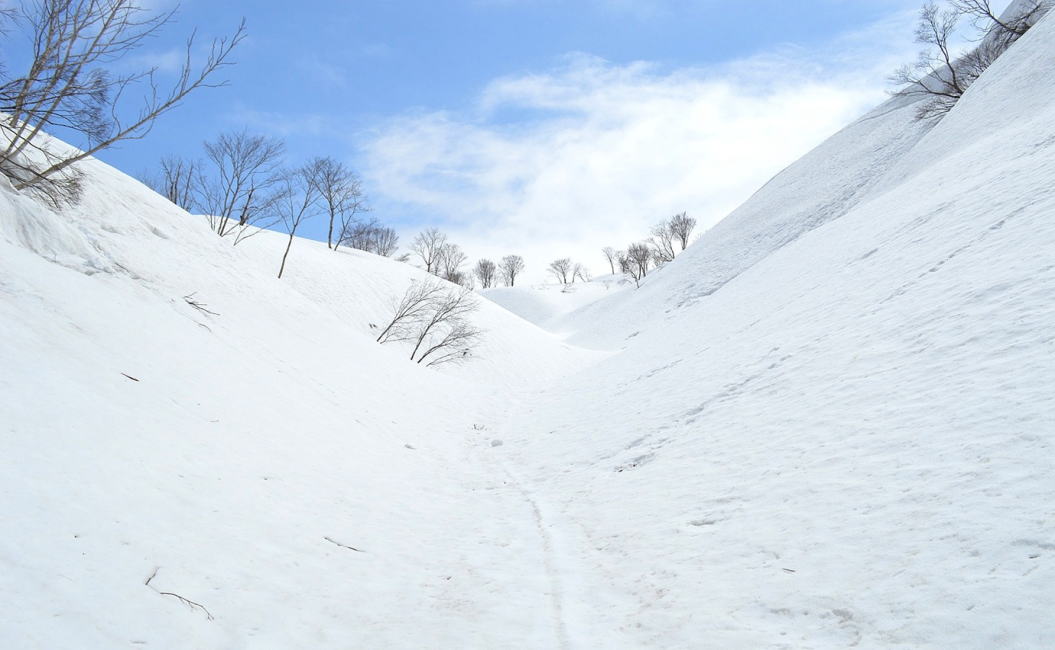 雪の回廊