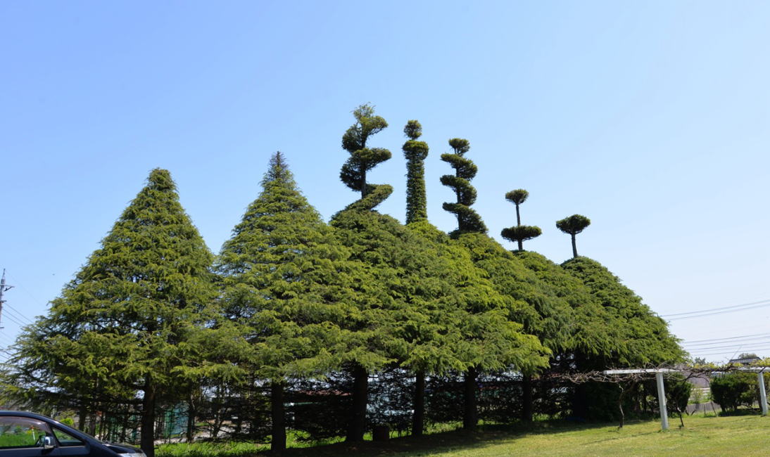 彫刻