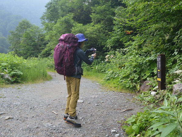 小池新道登山口