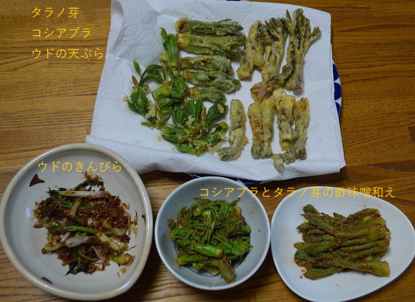 山菜料理