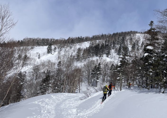 栂池林道のショートカット