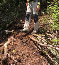 瀬波登山道整備