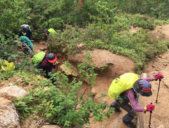 合戦尾根登山道
