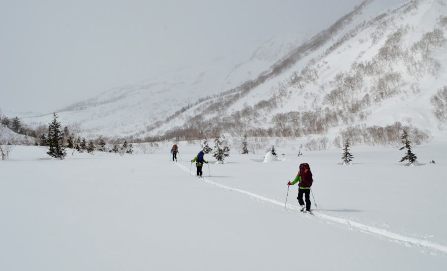 栂池自然園大雪原