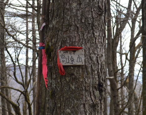 高遠山山頂