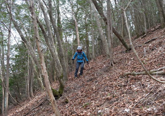 峠山下山