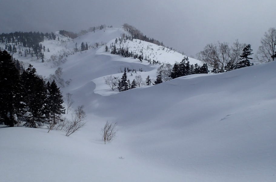 雪の造形美