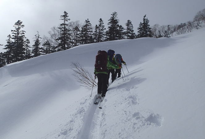 雪洞泊候補地