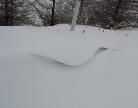 風と雪の造形