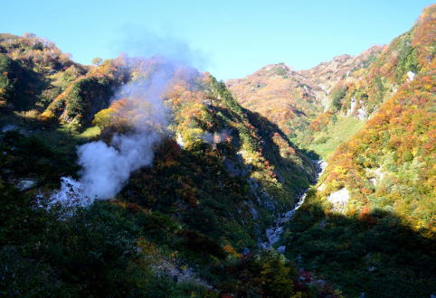 仙人温泉