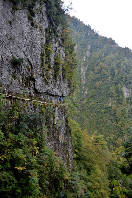 大岸壁の歩道