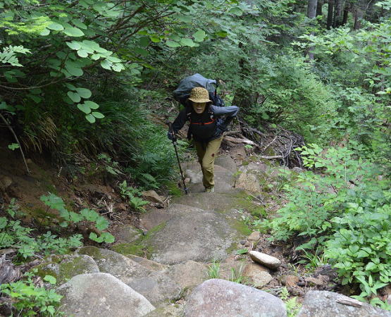 整備された登山道