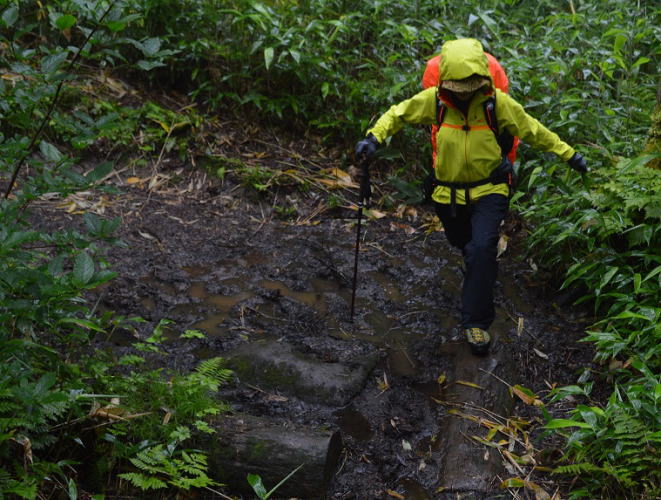 ぬかるみの稜線登山道