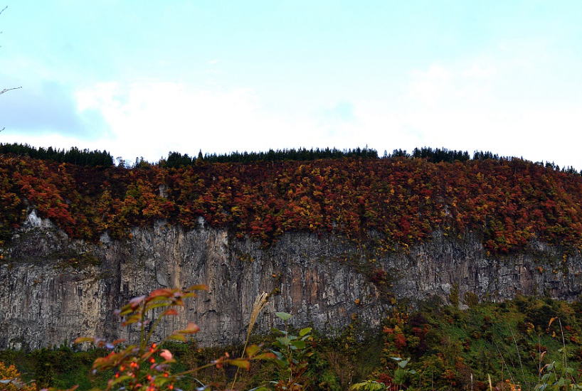 岸壁の紅葉