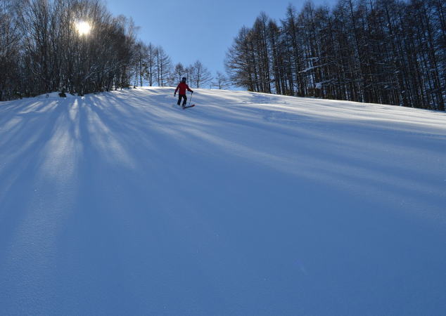 ノートラックの新雪