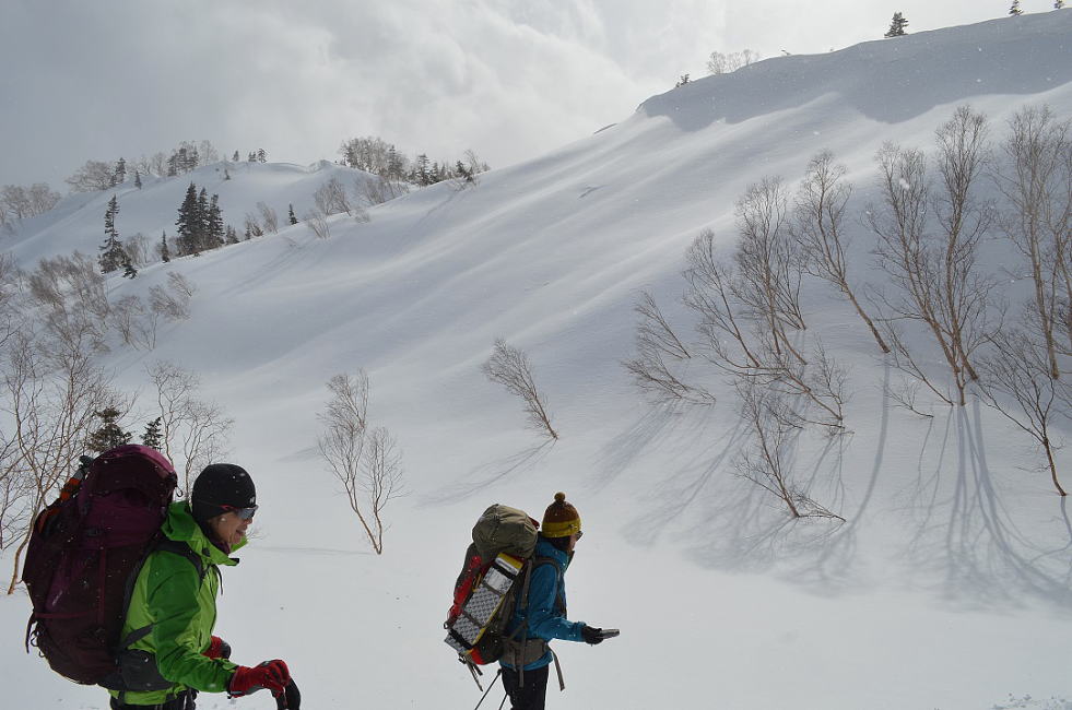 栂池2月雪洞泊BC