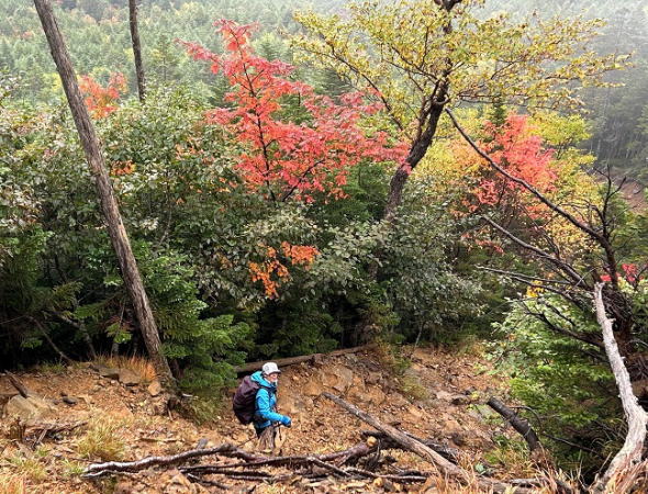 地蔵尾根の紅葉