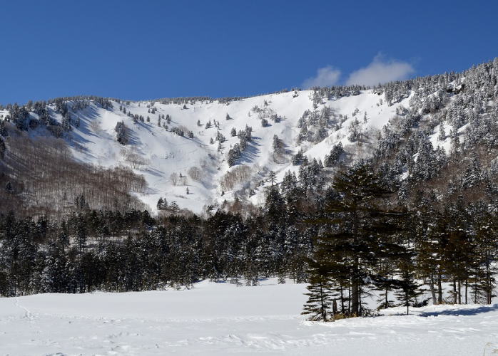 谷コース全景