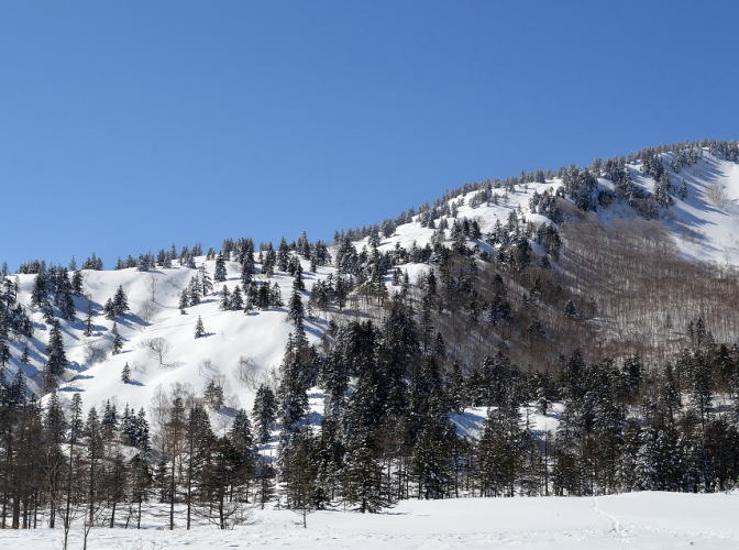 尾根コース全景