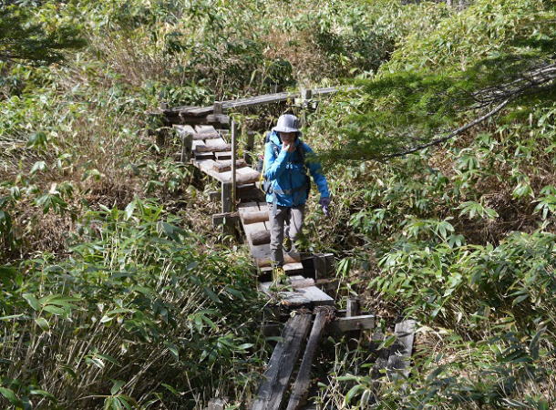 林道から木道へ