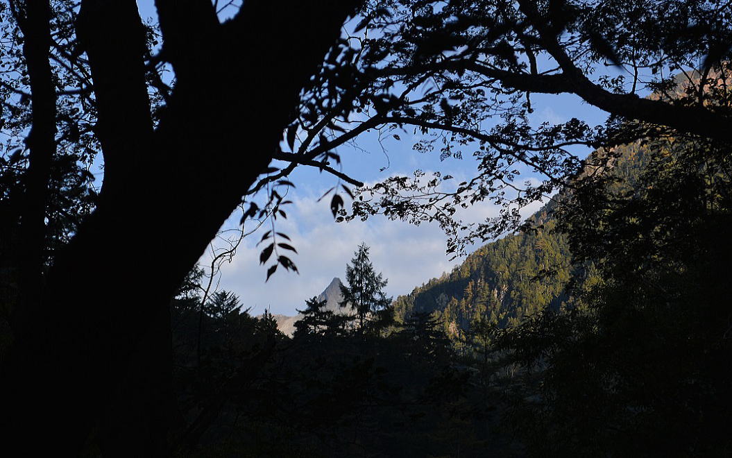 槍見河原から槍ヶ岳